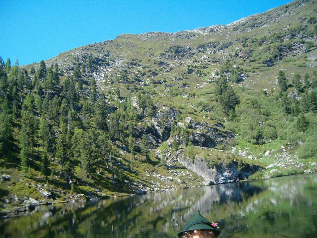 Privatpension Herta Sankt Georgen ob Murau Exterior foto