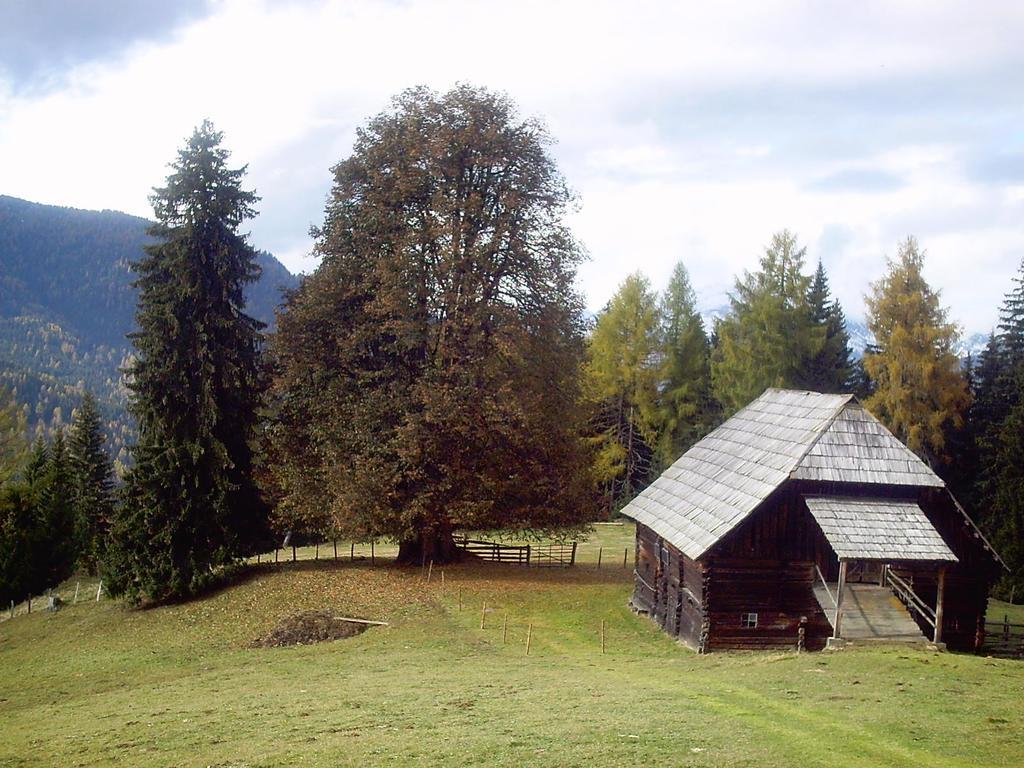 Privatpension Herta Sankt Georgen ob Murau Exterior foto